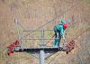 Photo for Elevator Repair Service Guys