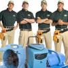Photo for MIC Carpet & Upholstery Cleaning Torrance