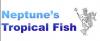Photo for Neptune's Tropical Fish