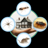 Photo for Angie Pest Control