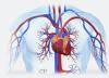 Photo for Dr. Siva Kumar Reddy Cardiologist In Hyderabad - Credihealth