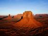 Photo for Festari for Men