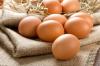 Photo for Global Egg Protein Market by Manufacturers, Countries, Type and Application, Forecast to 2022