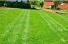 Photo for Charlotte Landscaping Designs