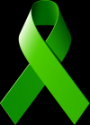 Photo for The Max Burdette Fibrolamellar Cancer Research Foundation