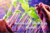 Photo for Global Renewable Chemicals Market - Industry Trends, Outlook, Regulatory Bodies & Regulations and Key Market Players