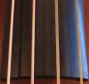 Photo for Double Bass String Market to Register a Robust Growth By 2022