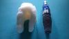 Photo for PEEK Dental Implants Market Analysis and Forecasts, 2017-2022