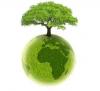 Photo for Biopesticides Market - Manufacturers, Share, Trends and Forecast by 2020