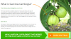 Photo for exactly what is the secret ingredient behind Eco-friendly Diet Pro?