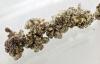 Photo for Global Strontium Market: Current Uses and Emerging New Applications Catalyze Growth, notes TMR