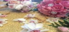 Photo for I Want Flowers