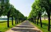 Photo for Quality Tree Service