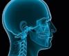 Photo for Global Craniomaxillofacial Implants Market 2016 Industry Analysis & Forecast 2024