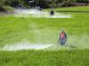 Photo for Global Crop Protection Chemicals Market trends estimates high demand by 2024