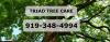 Photo for Triad Tree Care
