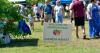 Photo for It's Farmer's Market Season in Greenville, SC