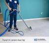 Photo for Carpet cleaning services in Christchurch, New Zealand