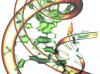 Photo for Global Cancer/Tumor Profiling Market 2016 Industry Analysis & Forecast 2024