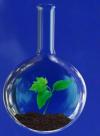 Photo for Global Acrylic Acid Market to Hit $22.50 Bn During 2014 - 2020