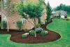 Photo for Texas Landscaping Services