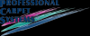 Photo for Professional Carpet Systems