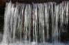 Photo for Maple Water Market - Industry Analysis- Size, Share, Trends, Demand, Overview, Forecast 2022