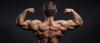 Photo for Enhanced physical performance