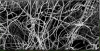 Photo for Natural Polymers Market Analysis- Size, Share, Growth, Industry Demand, Forecast, Application Analysis To 2022