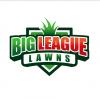 Photo for Big League Lawns