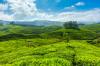Photo for Trip to the stunning tourist destinations in Kerala