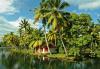 Photo for Holiday Mango Travel