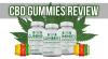 Photo for What is Healthy Leaf CBD gummies? Exactly how does it works?