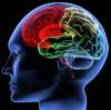 Photo for Neurologist in Pallikaranai - Credihealth