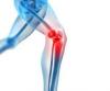 Photo for Physiotherapist in Dwarka - Dr. Roshan Jha