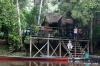 Photo for Choose your Adventure wildlife Tour Destination in Cuyabeno