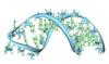 Photo for Biobanking Market 2017: Beckman Coulter, Thermo Fisher, Panasonic, Sigma-Aldrich, SOL Group, Promega, BD