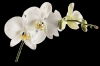 Photo for Vaginal Rejuvenation Tamarac FL