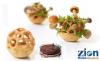 Photo for Global 3D Food Printing Market Trends estimates high demand by 2024