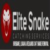 Photo for Elite Snake