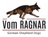 Photo for Vom Ragnar German Shepherds