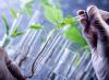 Photo for Renewable Chemicals Market Reflecting a CAGR of 11% by 2020