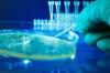 Photo for Europe In Vitro Diagnostics IVD Market  Specification & Application 2021