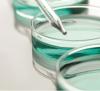 Photo for Global Isoprenol Market to exceed $200.0 Mn by 2020