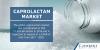Photo for Global Caprolactam Market to Surpass US$ 17.31 Billion by 2025, Buoyed by Rampant Growth of Automobile Industry