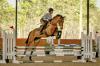 Photo for Stable View Jumper Night