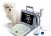 Photo for Global Veterinary Imaging Market trends estimates high demand by 2024