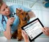 Photo for Global Veterinary Software Market 2016 Industry Analysis & Forecast 2024
