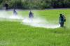Photo for 24 Market Reports: Europe Agricultural Disinfectants Market Report 2017