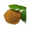 Photo for Global Fulvic Acid Market by Manufacturers, Countries, Type and Application, Forecast to 2022